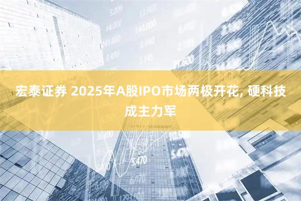 宏泰证券 2025年A股IPO市场两极开花, 硬科技成主力军