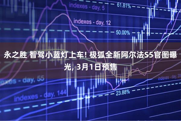 永之胜 智驾小蓝灯上车! 极狐全新阿尔法S5官图曝光, 3月1日预售